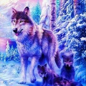 Meet your Posher, Danica